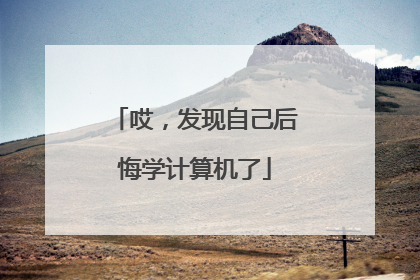 哎,发现自己后悔学计算机了