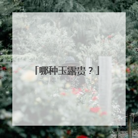哪种玉露贵?