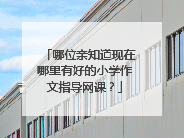 哪位亲知道现在哪里有好的小学作文指导网课？