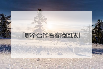 哪个台能看春晚回放