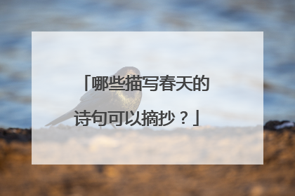 哪些描写春天的诗句可以摘抄?