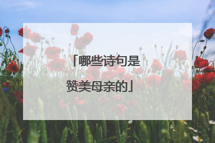 哪些诗句是赞美母亲的