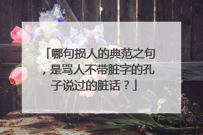 哪句损人的典范之句，是骂人不带脏字的孔子说过的脏话？