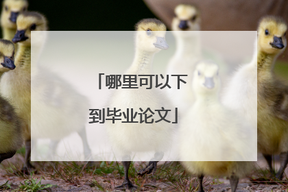 哪里可以下到毕业论文