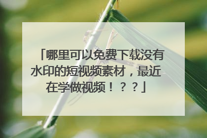 哪里可以免费下载没有水印的短视频素材，最近在学做视频！？？