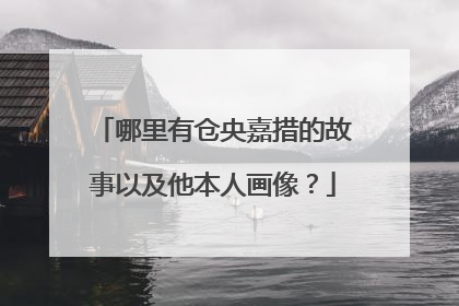 哪里有仓央嘉措的故事以及他本人画像？