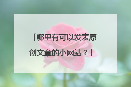 哪里有可以发表原创文章的小网站？