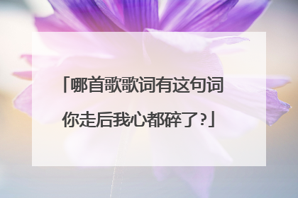 哪首歌歌词有这句词 你走后我心都碎了?