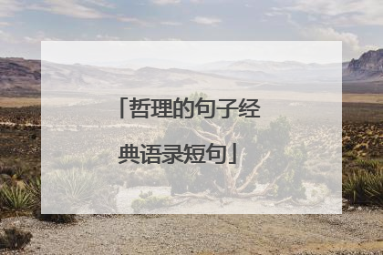 哲理的句子经典语录短句