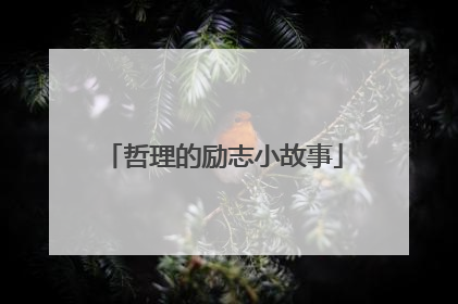 哲理的励志小故事