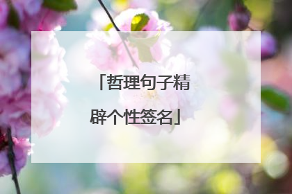 哲理句子精辟个性签名