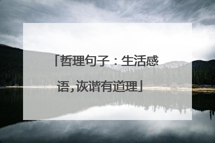 哲理句子:生活感语,诙谐有道理