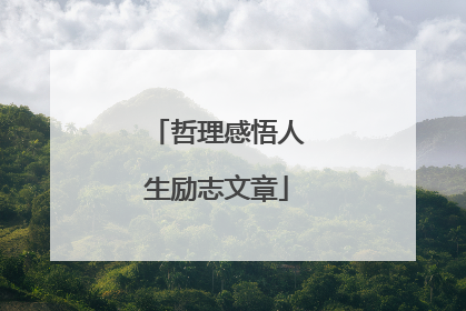 哲理感悟人生励志文章