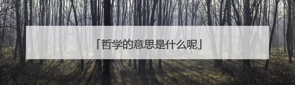 哲学的意思是什么呢