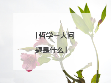 哲学三大问题是什么