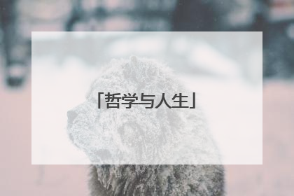 哲学与人生