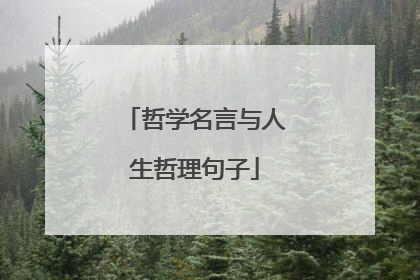 哲学名言与人生哲理句子