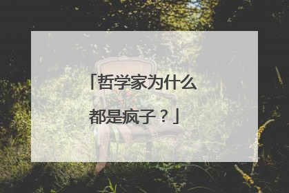 哲学家为什么都是疯子？