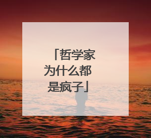 哲学家为什么都是疯子