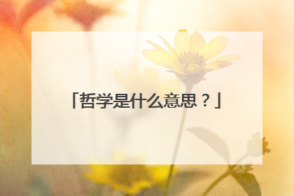 哲学是什么意思?