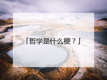 哲学是什么梗？