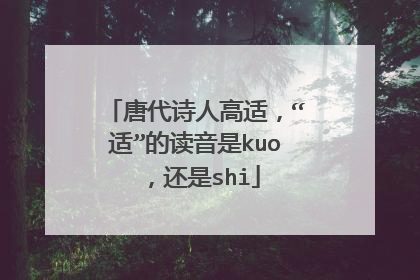 唐代诗人高适,“适”的读音是kuo,还是shi