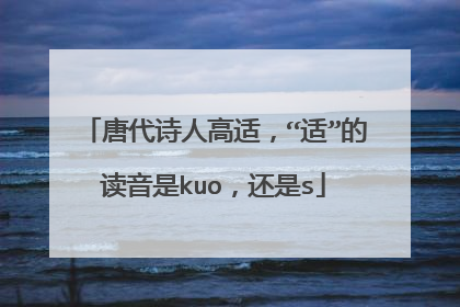 唐代诗人高适，“适”的读音是kuo，还是s
