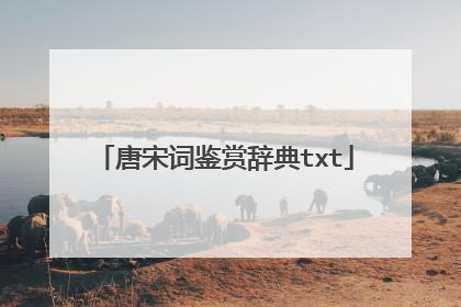 唐宋词鉴赏辞典txt