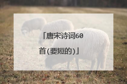 唐宋诗词60首(要短的)
