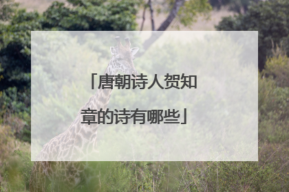 唐朝诗人贺知章的诗有哪些