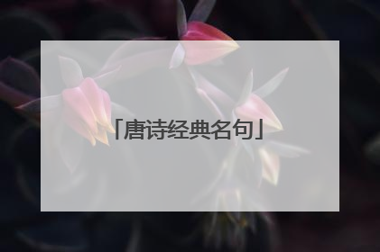唐诗经典名句