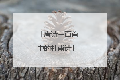 唐诗三百首中的杜甫诗