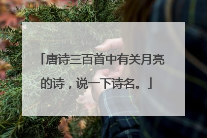 唐诗三百首中有关月亮的诗,说一下诗名。