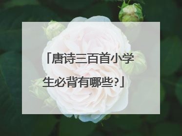 唐诗三百首小学生必背有哪些?