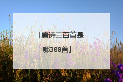 唐诗三百首是哪300首