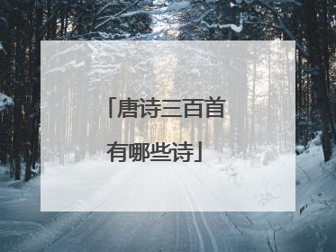 唐诗三百首有哪些诗