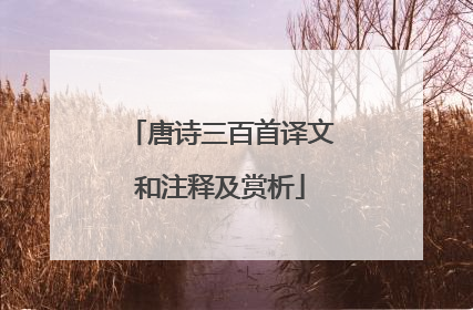 唐诗三百首译文和注释及赏析
