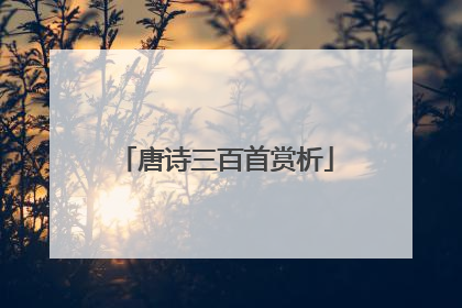 唐诗三百首赏析