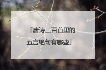 唐诗三百首里的五言绝句有哪些