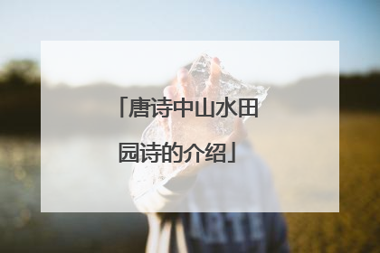 唐诗中山水田园诗的介绍