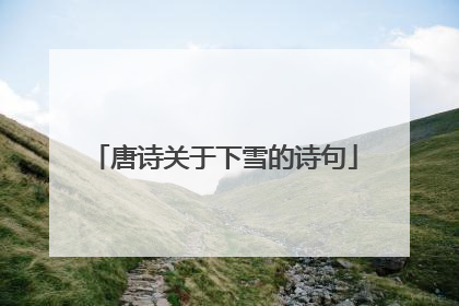 唐诗关于下雪的诗句