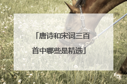 唐诗和宋词三百首中哪些是精选