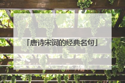 唐诗宋词的经典名句