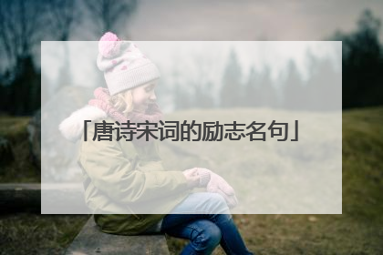 唐诗宋词的励志名句