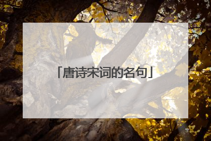 唐诗宋词的名句