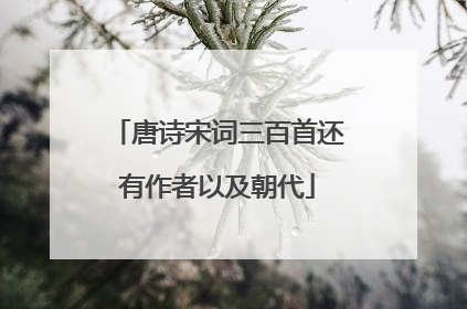 唐诗宋词三百首还有作者以及朝代