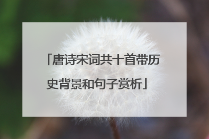 唐诗宋词共十首带历史背景和句子赏析