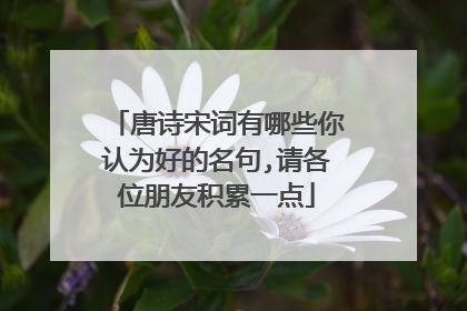唐诗宋词有哪些你认为好的名句,请各位朋友积累一点