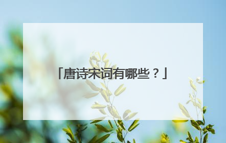 唐诗宋词有哪些?