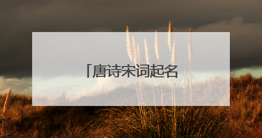 唐诗宋词起名好名字大全,唐诗宋词起名字